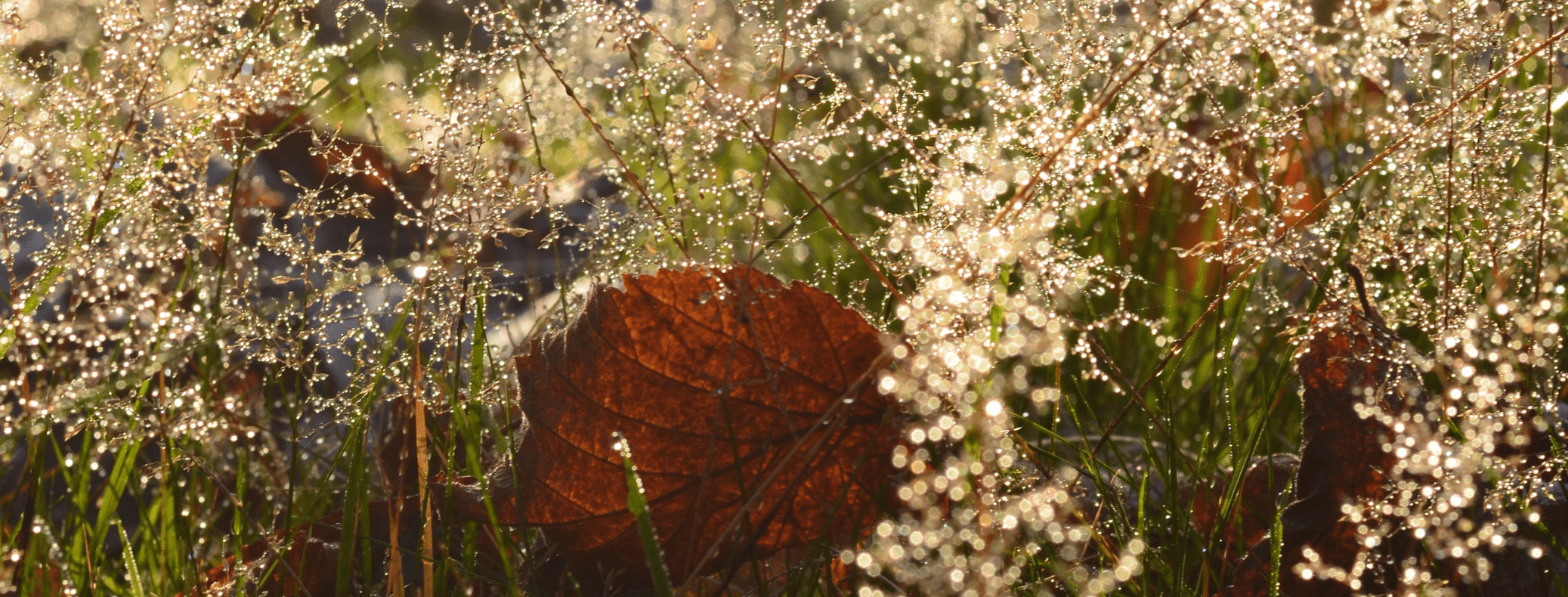Natur erfahren-10